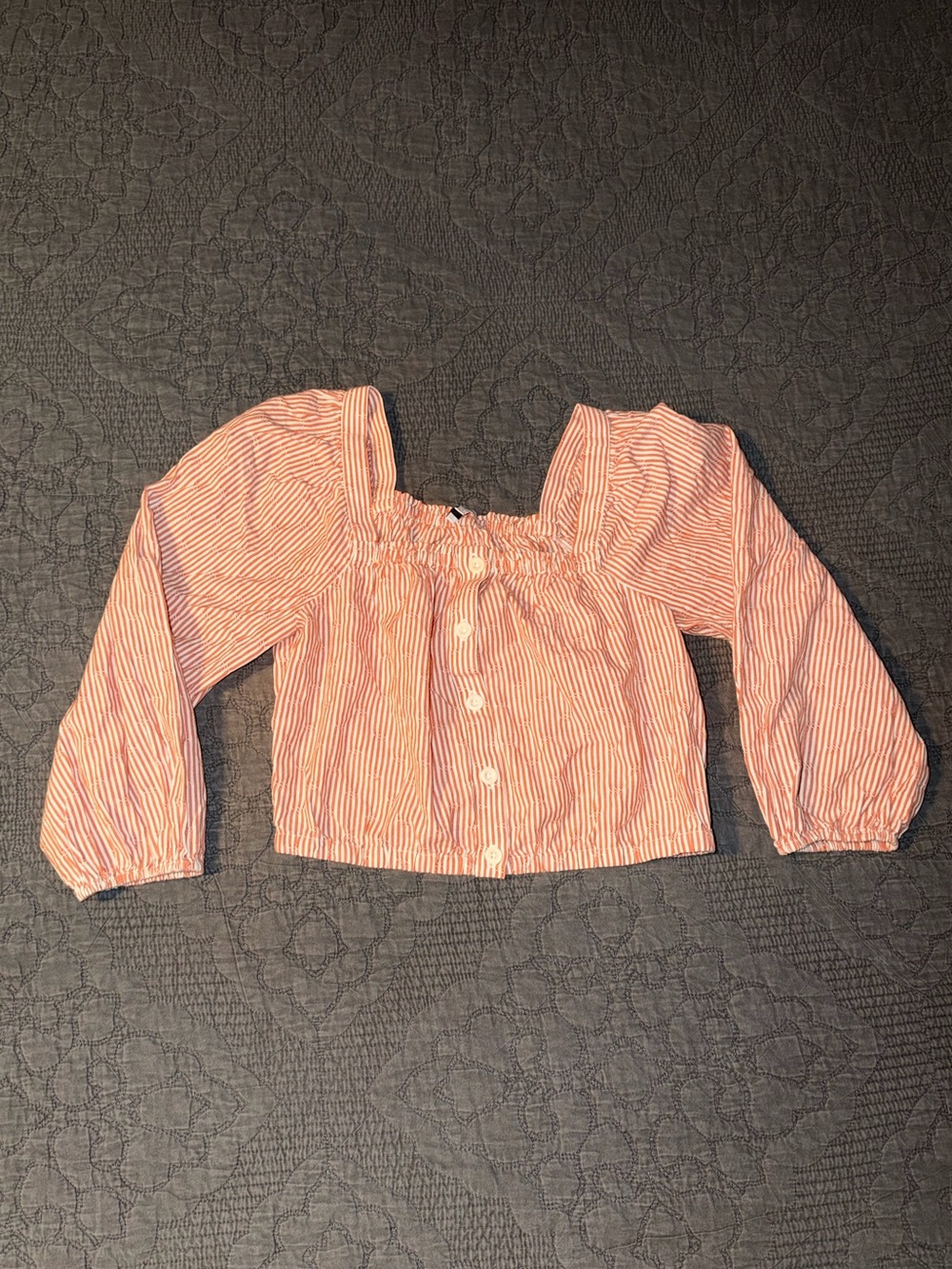 Madewell Puff-Sleeve Button-Front Crop Top in Embroidered Stripe Rusted Tin Sz-S